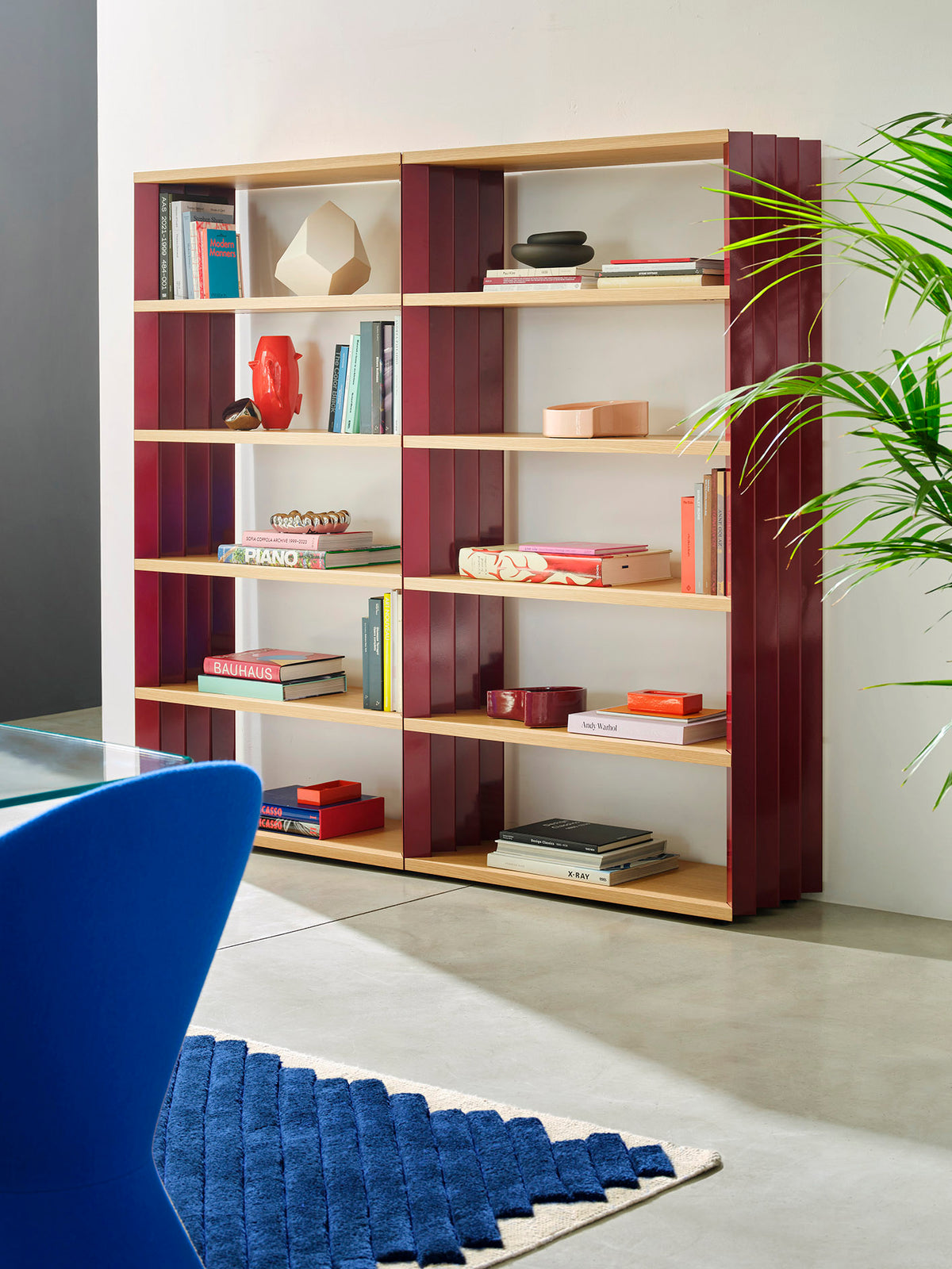 Z24 books