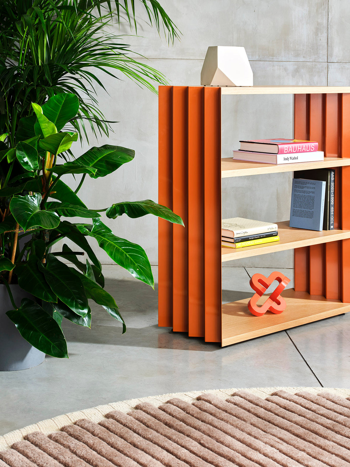 Z24 books