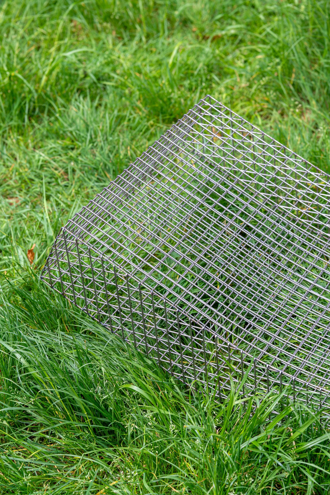 wire S #1